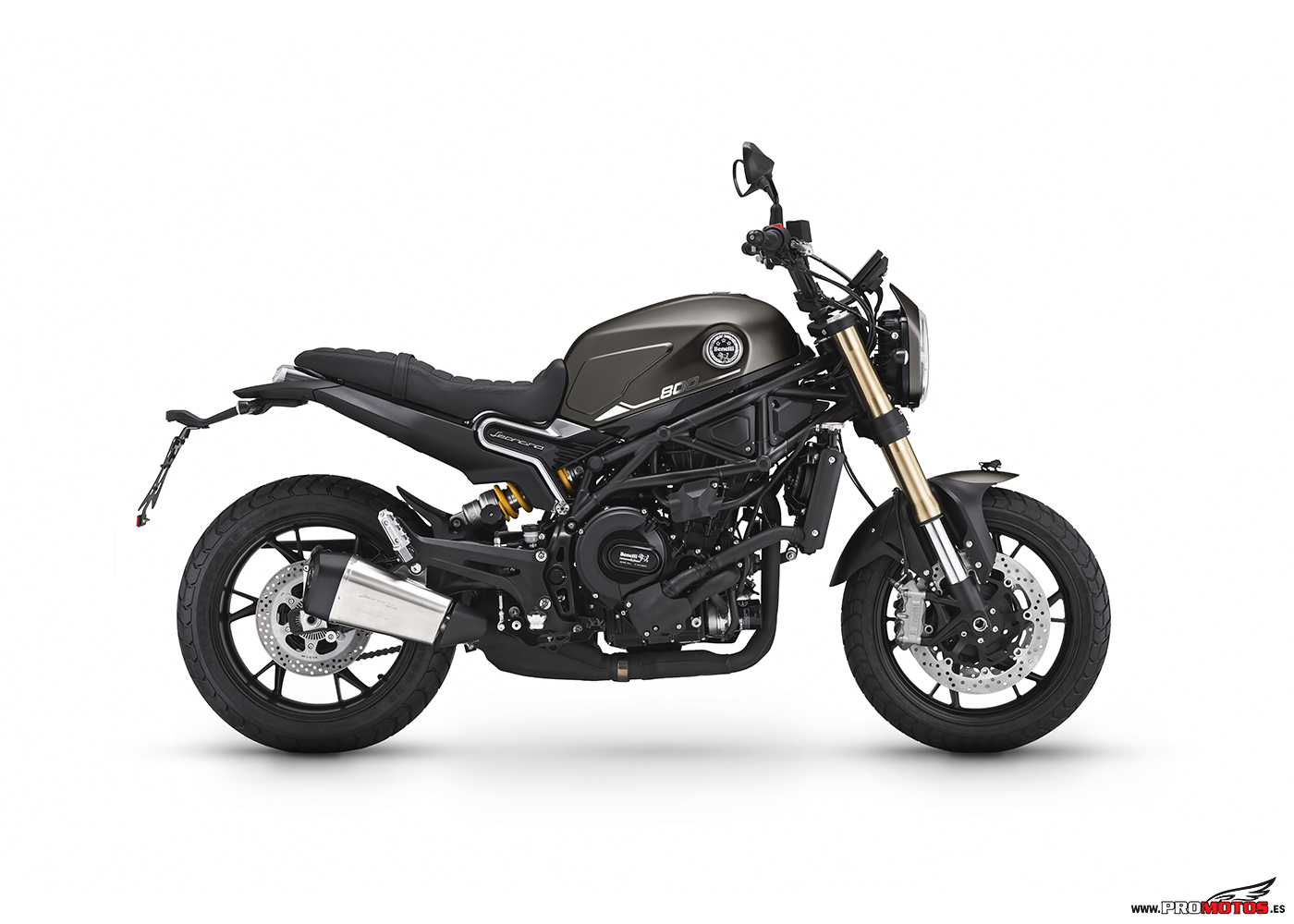 Benelli Leoncino 800 - Imagen 2