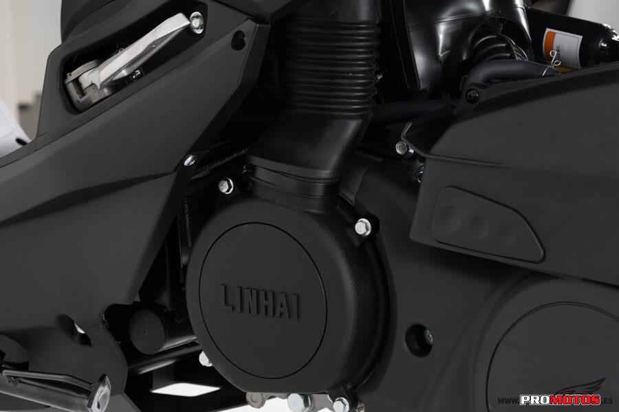 LINHAI BUCK 125 - Imagen 6