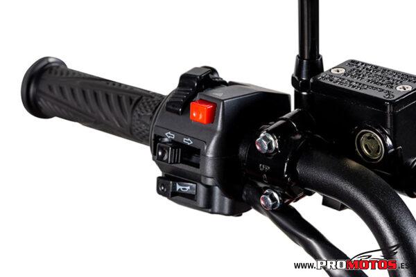 LINHAI ATV Z 210 EFI 2×4